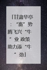 甘肃华亭：“畜”势腾飞兴“牛”业 政策助力添“牛”劲
