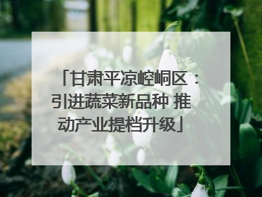 甘肃平凉崆峒区：引进蔬菜新品种 推动产业提档升级