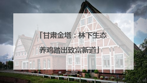 甘肃金塔：林下生态养鸡踏出致富新道