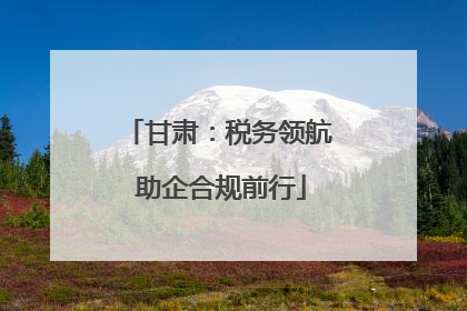 甘肃：税务领航 助企合规前行