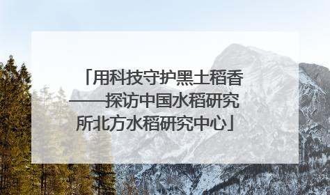 用科技守护黑土稻香——探访中国水稻研究所北方水稻研究中心
