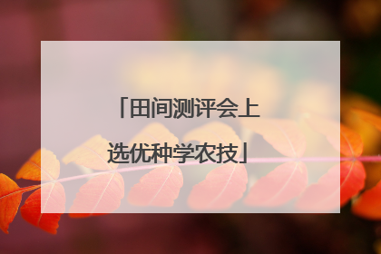 田间测评会上选优种学农技
