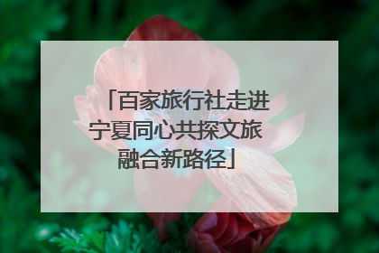百家旅行社走进宁夏同心共探文旅融合新路径