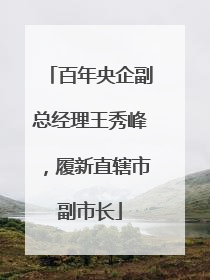 百年央企副总经理王秀峰，履新直辖市副市长