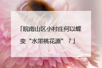 皖南山区小村庄何以蝶变“水墨桃花源”？