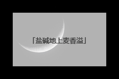 盐碱地上麦香溢