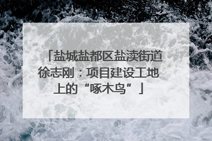 盐城盐都区盐渎街道徐志刚：项目建设工地上的“啄木鸟”