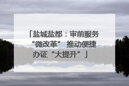 盐城盐都：审前服务“微改革” 推动便捷办证“大提升”