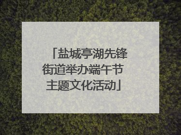 盐城亭湖先锋街道举办端午节主题文化活动