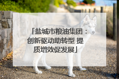 盐城市粮油集团：创新驱动助转型 提质增效促发展