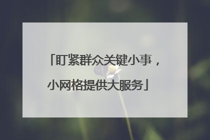 盯紧群众关键小事，小网格提供大服务