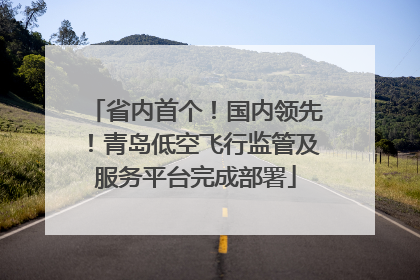 省内首个！国内领先！青岛低空飞行监管及服务平台完成部署