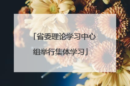 省委理论学习中心组举行集体学习
