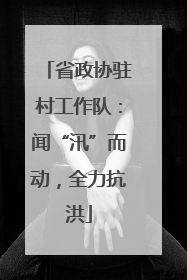 省政协驻村工作队：闻“汛”而动，全力抗洪