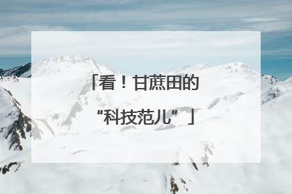 看！甘蔗田的“科技范儿”