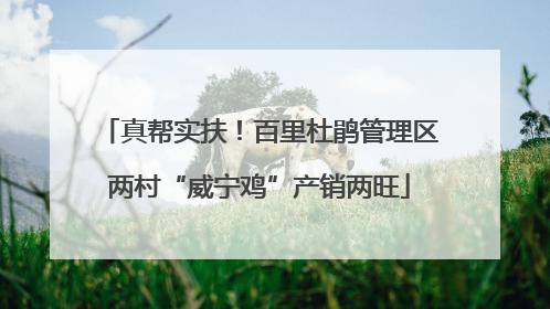 真帮实扶！百里杜鹃管理区两村“威宁鸡”产销两旺