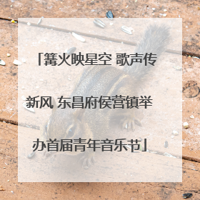 篝火映星空 歌声传新风 东昌府侯营镇举办首届青年音乐节