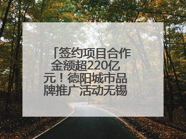签约项目合作金额超220亿元！德阳城市品牌推广活动无锡站成绩单出炉