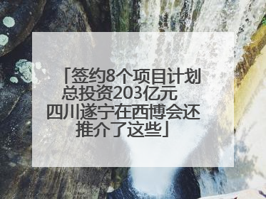 签约8个项目计划总投资203亿元 四川遂宁在西博会还推介了这些