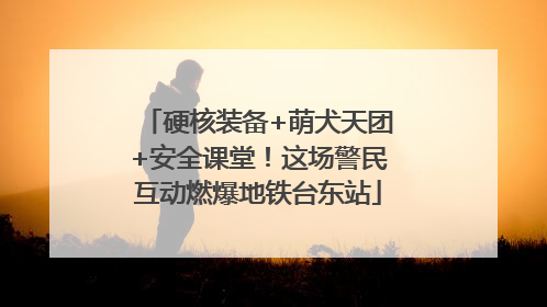 硬核装备+萌犬天团+安全课堂！这场警民互动燃爆地铁台东站