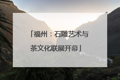 福州：石雕艺术与茶文化联展开幕