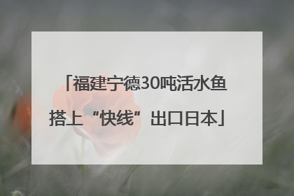 福建宁德30吨活水鱼搭上“快线”出口日本