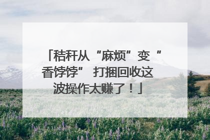 秸秆从“麻烦”变“香饽饽” 打捆回收这波操作太赚了！
