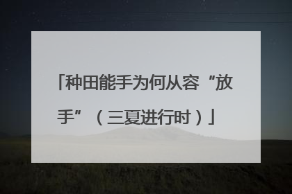 种田能手为何从容“放手”（三夏进行时）