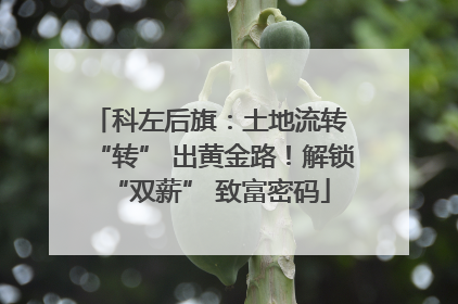 科左后旗：土地流转 “转” 出黄金路！解锁 “双薪” 致富密码