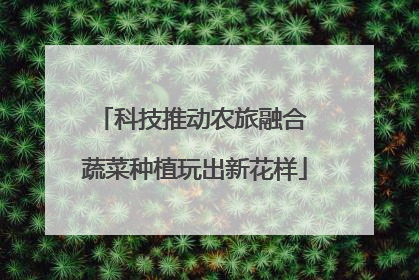 科技推动农旅融合 蔬菜种植玩出新花样