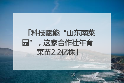 科技赋能“山东南菜园”，这家合作社年育菜苗2.2亿株