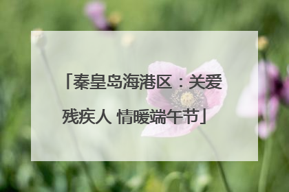 秦皇岛海港区：关爱残疾人 情暖端午节