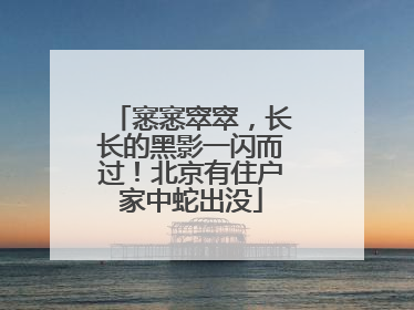 窸窸窣窣，长长的黑影一闪而过！北京有住户家中蛇出没