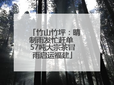 竹山竹坪：晴制雨发忙赶单 57吨大宗茶冒雨启运福建