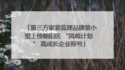 第三方家装监理品牌装小蜜上榜朝阳区 “凤鸣计划” 高成长企业称号