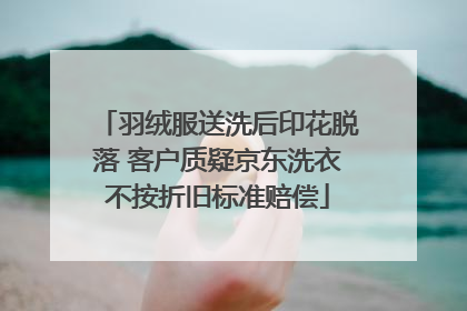 羽绒服送洗后印花脱落 客户质疑京东洗衣不按折旧标准赔偿