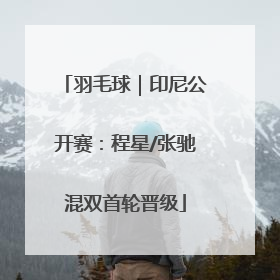 羽毛球｜印尼公开赛：程星/张驰混双首轮晋级