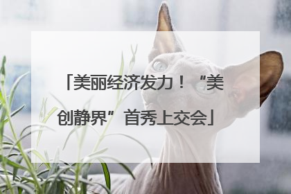 美丽经济发力！“美创静界”首秀上交会