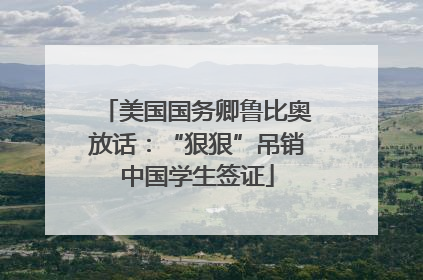 美国国务卿鲁比奥放话：“狠狠”吊销中国学生签证