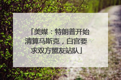 美媒：特朗普开始清算马斯克，白宫要求双方盟友站队