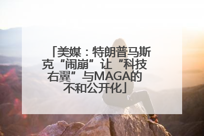 美媒：特朗普马斯克“闹崩”让“科技右翼”与MAGA的不和公开化