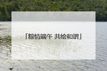 粽情端午 共绘和谐