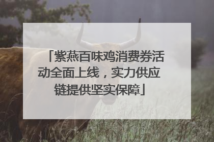 紫燕百味鸡消费券活动全面上线，实力供应链提供坚实保障