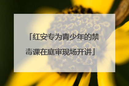 红安专为青少年的禁毒课在庭审现场开讲
