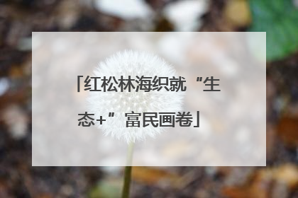 红松林海织就“生态+”富民画卷