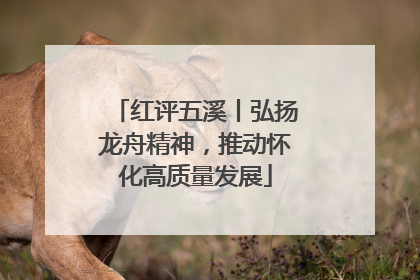 红评五溪丨弘扬龙舟精神，推动怀化高质量发展