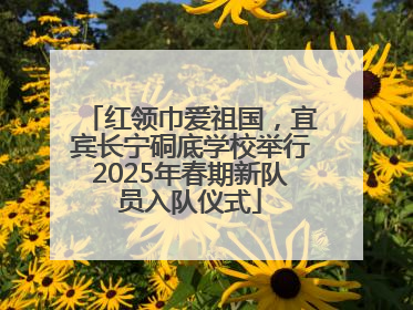 红领巾爱祖国，宜宾长宁硐底学校举行2025年春期新队员入队仪式