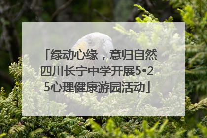 绿动心缘，意归自然 四川长宁中学开展5•25心理健康游园活动