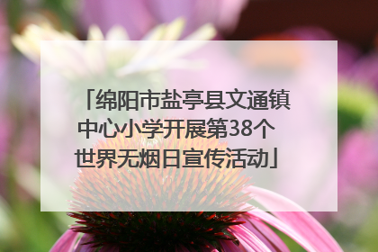 绵阳市盐亭县文通镇中心小学开展第38个世界无烟日宣传活动