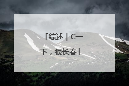 综述｜C一下，很长春